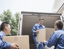Experts from removal company